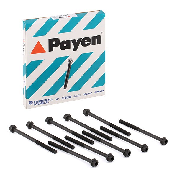 PAYEN Bolt Kit, cylinder head HBS369 HBS369 PAYEN cylinder head bolts for MAZDA 2