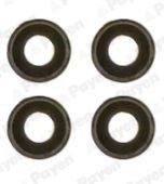 PAYEN Klepsealset HR339 PAYEN HR339 Klepseals Innocenti kosten originele