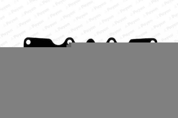 PAYEN Inlaatspruitstuk pakking JA5079 Inlaatspruitstuk pakking PAYEN DISCOVERY JA5079 goedkoop