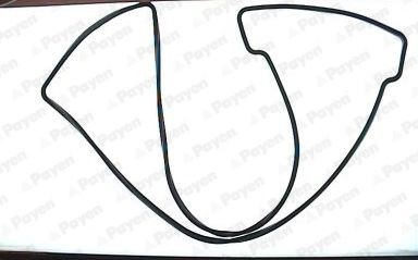 PAYEN Guarnizione, Copritestata JN539 PAYEN JN539 Guarnizione coperchio punterie Jaguar XK Cabrio originale prezzo