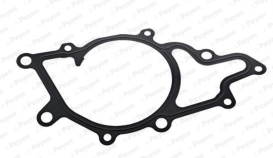 PAYEN Pakning, vandpumpe KA5036 Kølevandsforsegling PAYEN Kia SHUMA KA5036