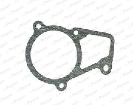 PAYEN Guarnizione, Termostato KK5682 KK5682 Guarnizione di tenuta acqua raffreddamento PAYEN PEUGEOT 407 costo