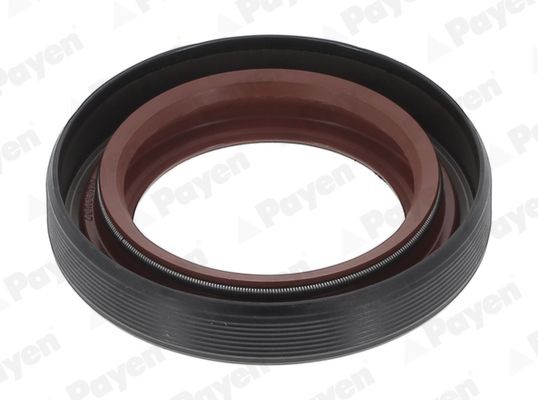 PAYEN Retentor, diferencial NA5205 PAYEN NA5205 Retentor, diferencial
