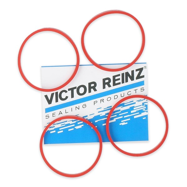 REINZ Pakningssæt, indsugningsmanifold 11-35246-01 Indsugningsmanifold pakning PEUGEOT REINZ 11-35246-01