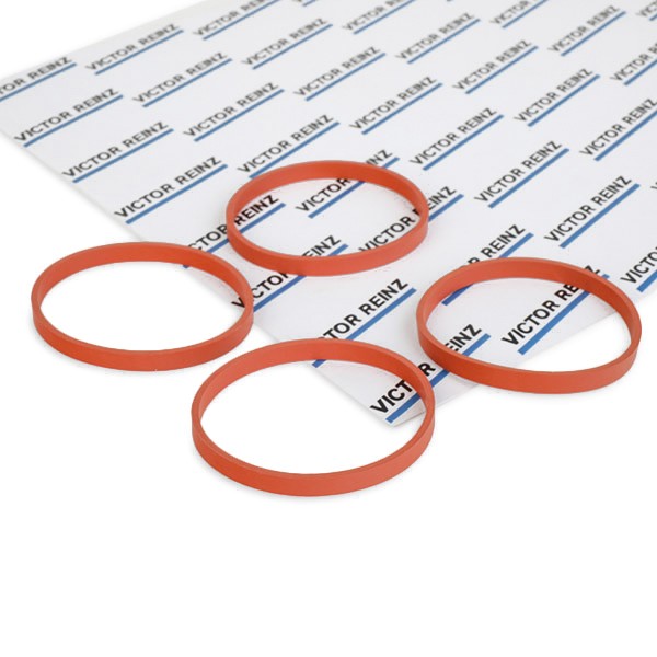 Σετ στεγανοποίησης, πολλαπλή εισαγωγής REINZ 11-37632-01 REINZ 11-37632-01: Τσιμουχα πολλαπλής εισαγωγής Citroen C4 2018