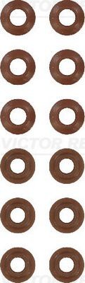 REINZ Pakningssett, ventilstamme 12-25227-04 Ventiltetninger REINZ Mercedes-Benz G-Klasse 12-25227-04