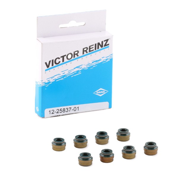 REINZ Pakningssæt, ventilarm 12-25837-01 REINZ 12-25837-01 Olietyve BMW 3-serie originale