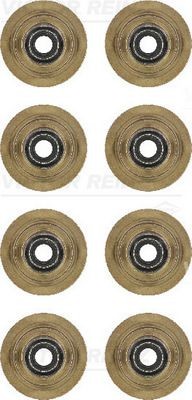 REINZ Pakningssett, ventilstamme 12-31056-01 REINZ 12-31056-01 Ventiltetninger Ford Windstar A3 originale pris