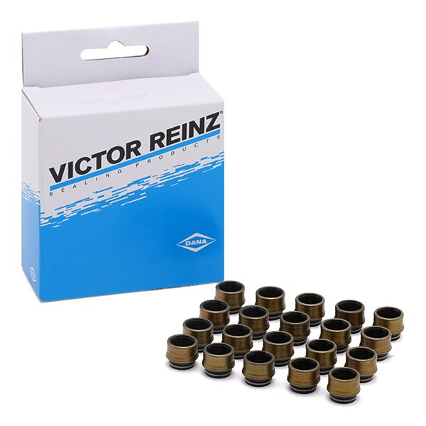 Jogo de juntas, haste da válvula REINZ 12-31306-03 REINZ 12-31306-03 Retentor de haste de válvula AUDI TT 2003