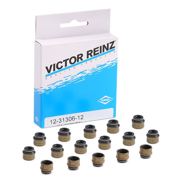 Kit guarnizioni, Stelo valvola REINZ 12-31306-12 REINZ 12-31306-12 Paraolio valvole Volkswagen TOURAN 2022