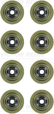 REINZ Tiivistesarja, venttiilivarsi 12-35493-01 REINZ 12-35493-01 Land Rover Freelander Cabriolet venttiilinvarren kumit