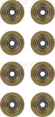 REINZ Dichtungssatz, Ventilschaft 12-35547-01 REINZ 12-35547-01 Dichtungssatz, Ventilschaft FORD Fiesta Mk5 Schrägheck (JH1, JD1, JH3, JD3) 1.0 Flex 73 PS 2014