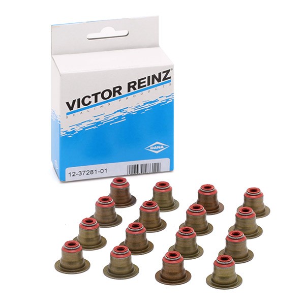 REINZ Pakningssett, ventilstamme 12-37281-01 REINZ 12-37281-01 originale Ventiltetninger BMW E53 hva koster