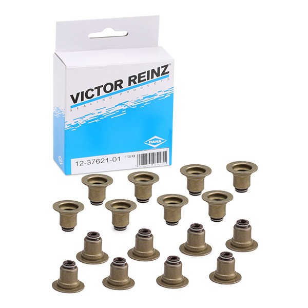 Packningssats, ventiler REINZ 12-37621-01 REINZ 12-37621-01: Ventilpackning Peugeot 207 2007