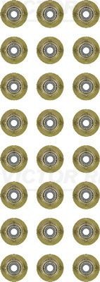 Jeu de joints d'étanchéité, tige de soupape REINZ 12-38546-01 REINZ 12-38546-01: Jeu de joints d'étanchéité tige de soupape Land Rover DISCOVERY 2023