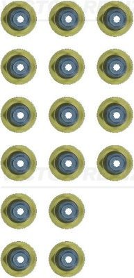 Pakningssæt, ventilarm REINZ 12-54206-01 REINZ 12-54206-01: Olietyve Chevy AVEO 2025