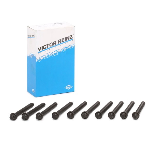 REINZ Bolt Kit, cylinder head 14-32002-01 BMW 7 Series REINZ cylinder head bolts 143200201