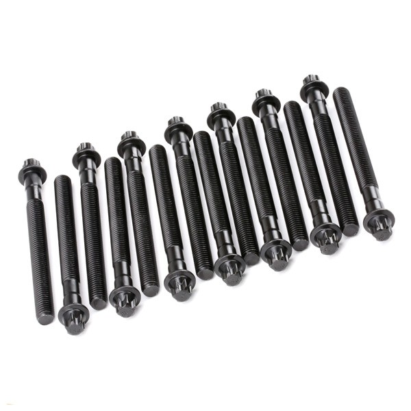 REINZ Cilinderkopbouten 14-32101-01 REINZ 14-32101-01 originele Kopbouten RENAULT 20 prijs