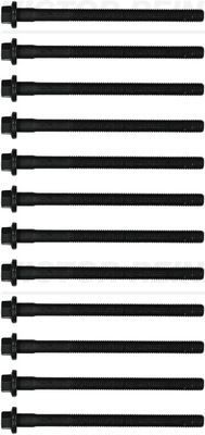 REINZ Klapikaanekruvikomplekt 14-32286-01 REINZ 14-32286-01 Plokikaane poldid Ford Mondeo MK4 BA7 hind