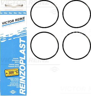 REINZ Pakkingset, klepdeksel 15-76741-01 Volvo S70 Kleppendeksel, pakking REINZ 15-76741-01