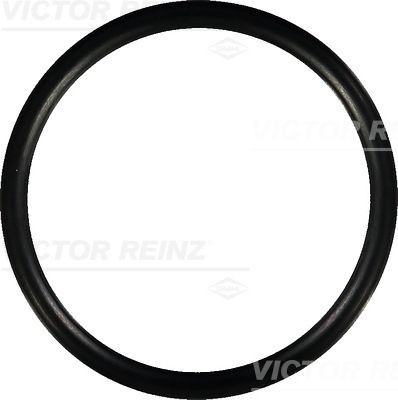 REINZ Guarnizione, Collettore aspirazione 40-76752-00 REINZ 40-76752-00 costo Guarnizione collettore aspirazione Volvo 240 Sedan originale