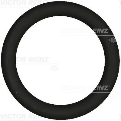 REINZ Tihend, sisselaskekollektor 40-76919-00 REINZ 40-76919-00 Sisselaskekollektori tihend Mini Kupee originaal