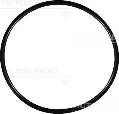 REINZ Rõngastihend 40-76964-00 REINZ 40-76964-00 Rõngastihend