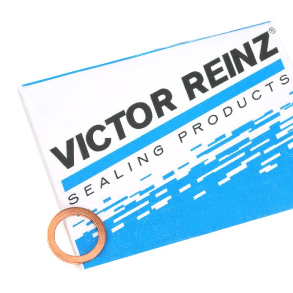 REINZ Ölablaßschraube Dichtung 41-70059-00 41-70059-00 Ölablassschraube BMW Z3 REINZ kaufen