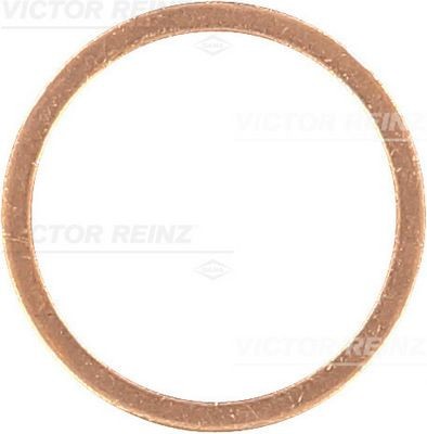 REINZ Rõngastihend, õli äravoolukruvi 41-70231-00 Rõngastihend õli äravoolukruvi REINZ BMW 5. Seeria 41-70231-00