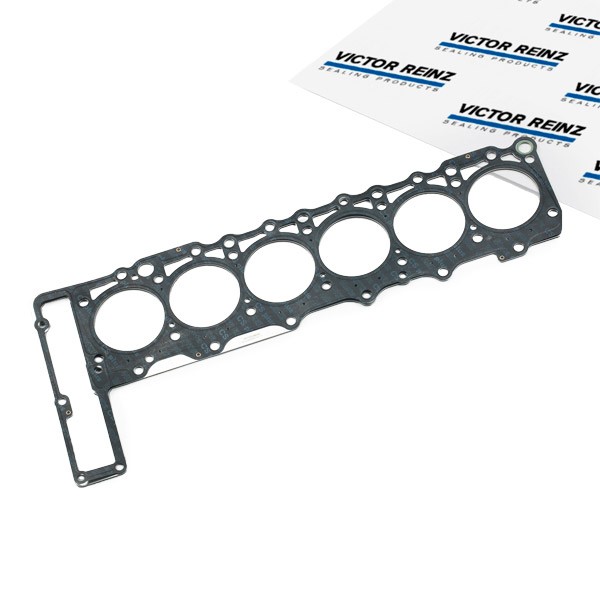 REINZ Tetning, topplokk 61-31670-00 REINZ 61-31670-00 originale Toppakning PEUGEOT J9 pris