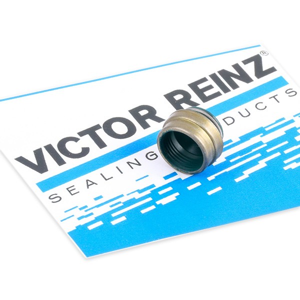 REINZ Blīvgredzens, Vārsta kāts 70-25837-00 REINZ 70-25837-00 orģinālās Blīvgredzens vārsta kāts Partner Origin Van (G_) cena