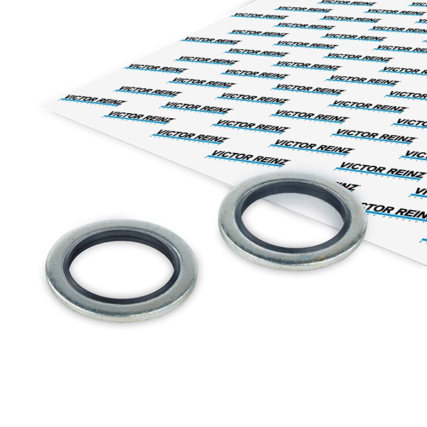 REINZ Anello di tenuta, vite di scarico olio 70-33769-00 REINZ 70-33769-00 Guarnizione tappo coppa olio Renault KANGOO originali