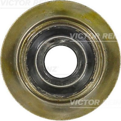 REINZ Ventiltätning 70-35893-00 Ford Transit Tourneo Ventiltätning REINZ 70-35893-00