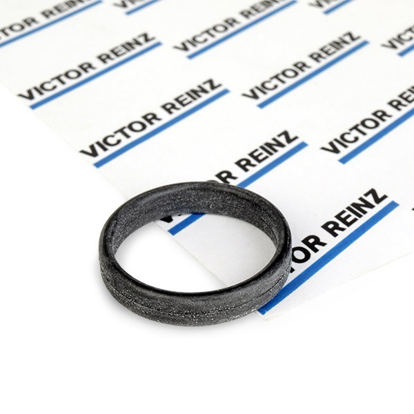 REINZ Joint de collecteur d'admission 71-31647-00 prix Joint collecteur d'admission Mercedes-Benz 905 71-31647-00 REINZ