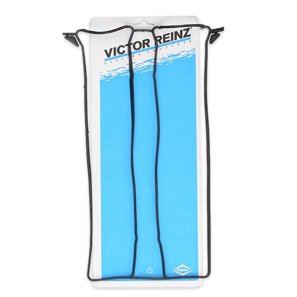 REINZ Junta, tampa das válvulas 71-33846-00 REINZ 71-33846-00 Junta de tampa de valvula Ford C-Max dm2 a um preço acessível