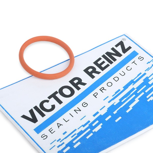 REINZ Tesnenie kolena sac. potrubia 71-35247-00 REINZ 71-35247-00 Tesnenie sacieho potrubia Volkswagen CALIFORNIA lacné