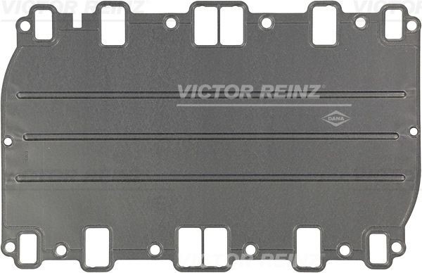 REINZ Τσιμούχα, πολλαπλή εισαγωγής 71-35528-00 71-35528-00 REINZ Τσιμουχα πολλαπλής εισαγωγής Land Rover φθηνά