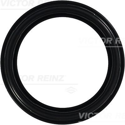 REINZ Blīve, Motora bloka galvas vāks 71-35659-00 REINZ 71-35659-00 Vārstu vāka blīve Fiat Punto 188 lēti