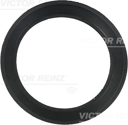 REINZ Pakninger, innsug 71-36061-00 REINZ 71-36061-00 Innsugsmanifold pakning Dodge CHALLENGER billige