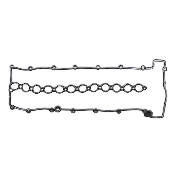 REINZ Ventilkåpspackning 71-37402-00 REINZ 71-37402-00 Ventilkåpspackning Toyota LAND CRUISER kostand