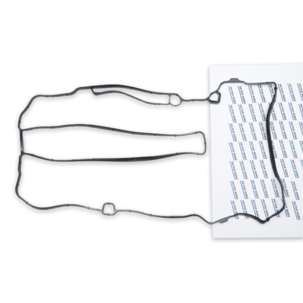 Ventildeckeldichtung REINZ 71-40674-00 VAUXHALL MERIVA 2015 Ventildeckeldichtung REINZ 71-40674-00