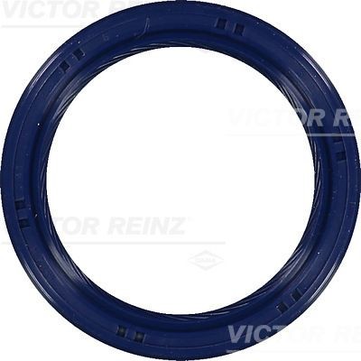 REINZ Pakdåse, krumtapaksel 81-53699-00 REINZ 81-53699-00 Nissan Pixo UA0 Pakdåse krumtap til en rimelig pris