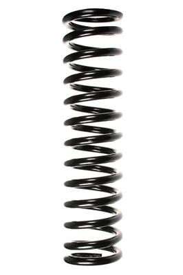 SPIDAN Molle ammortizzatori 48170 SPIDAN 48170 Molle ammortizzatori W123 Coupe (C123) prezzo