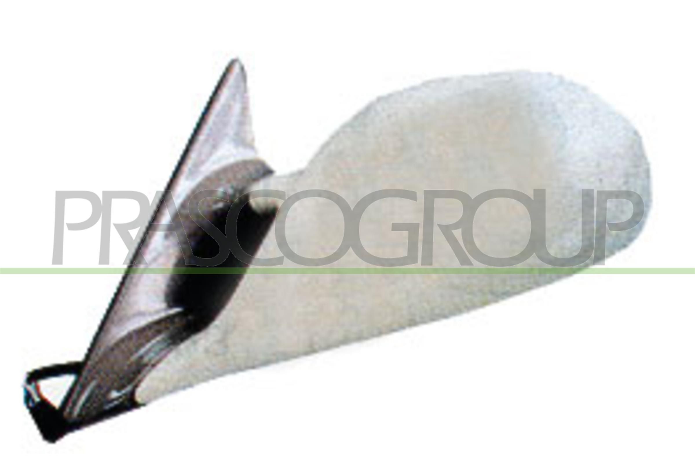 PRASCO Buitenspiegel BM0147364 BM0147364 Buitenspiegels BMW 3-serie PRASCO