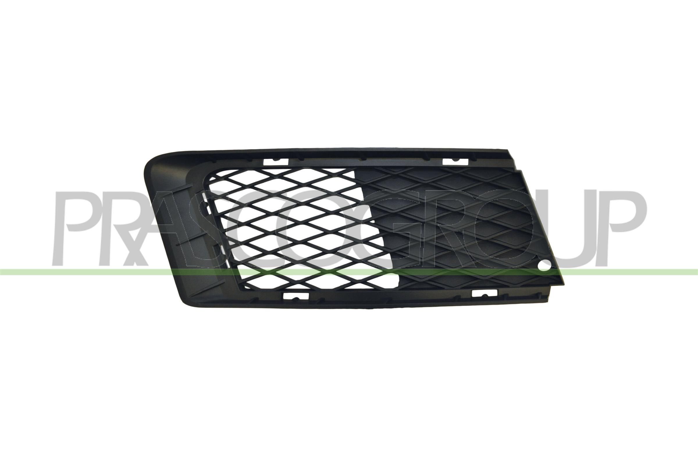 PRASCO Griglia paraurti BM0252123 PRASCO BM0252123 Griglia paraurti BMW 3 Coupe (E92) 325 i xDrive 211 CV 2010