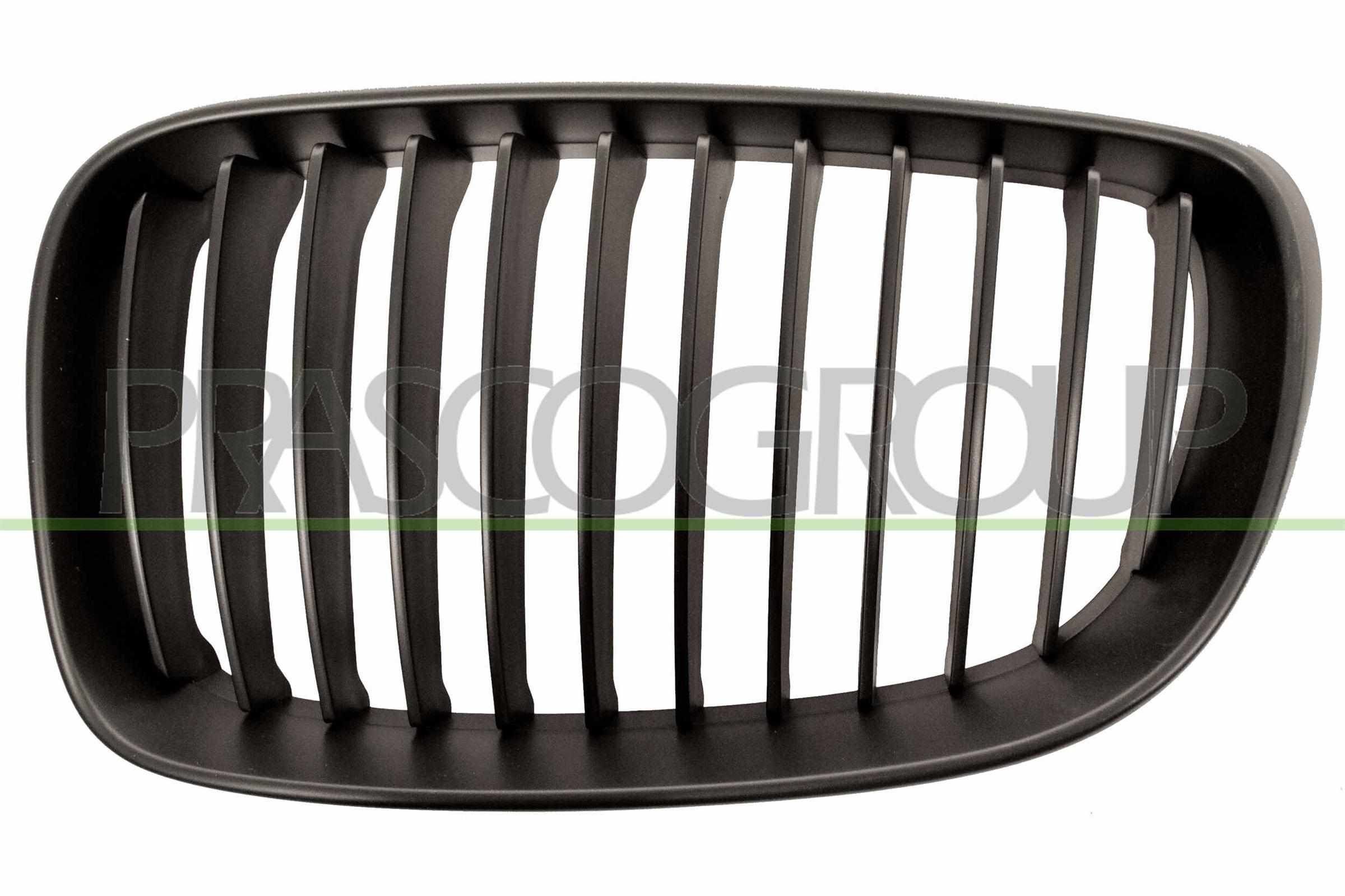 PRASCO Radiator grill BM1212014 PRASCO BM1212014 Sportgrille BMW 1 Serie E87 originele prijs