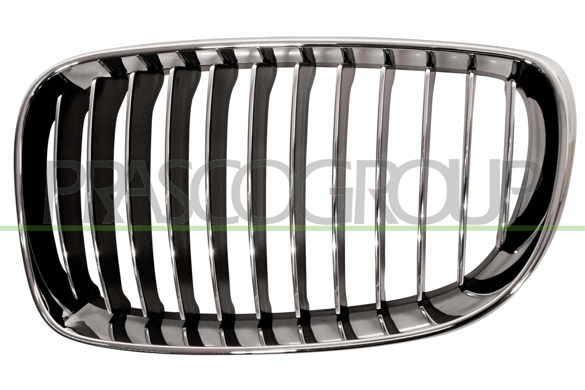 PRASCO Radiator grill BM1212024 Sportgrille BMW E87 BM1212024 PRASCO