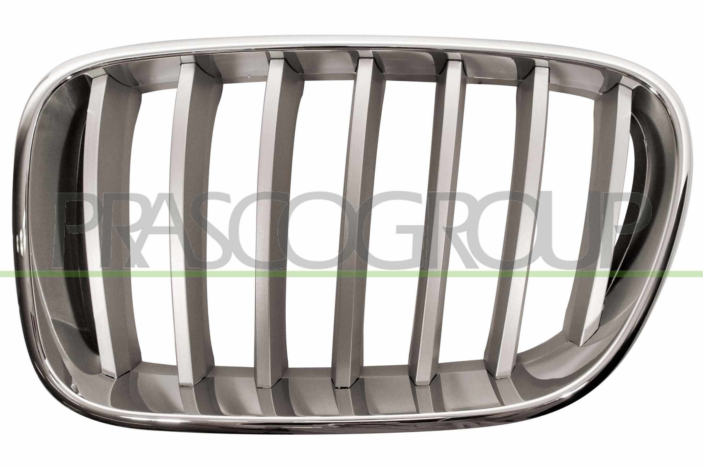 PRASCO Kylargrill BM8042014 BM8042014 PRASCO Grill BMW