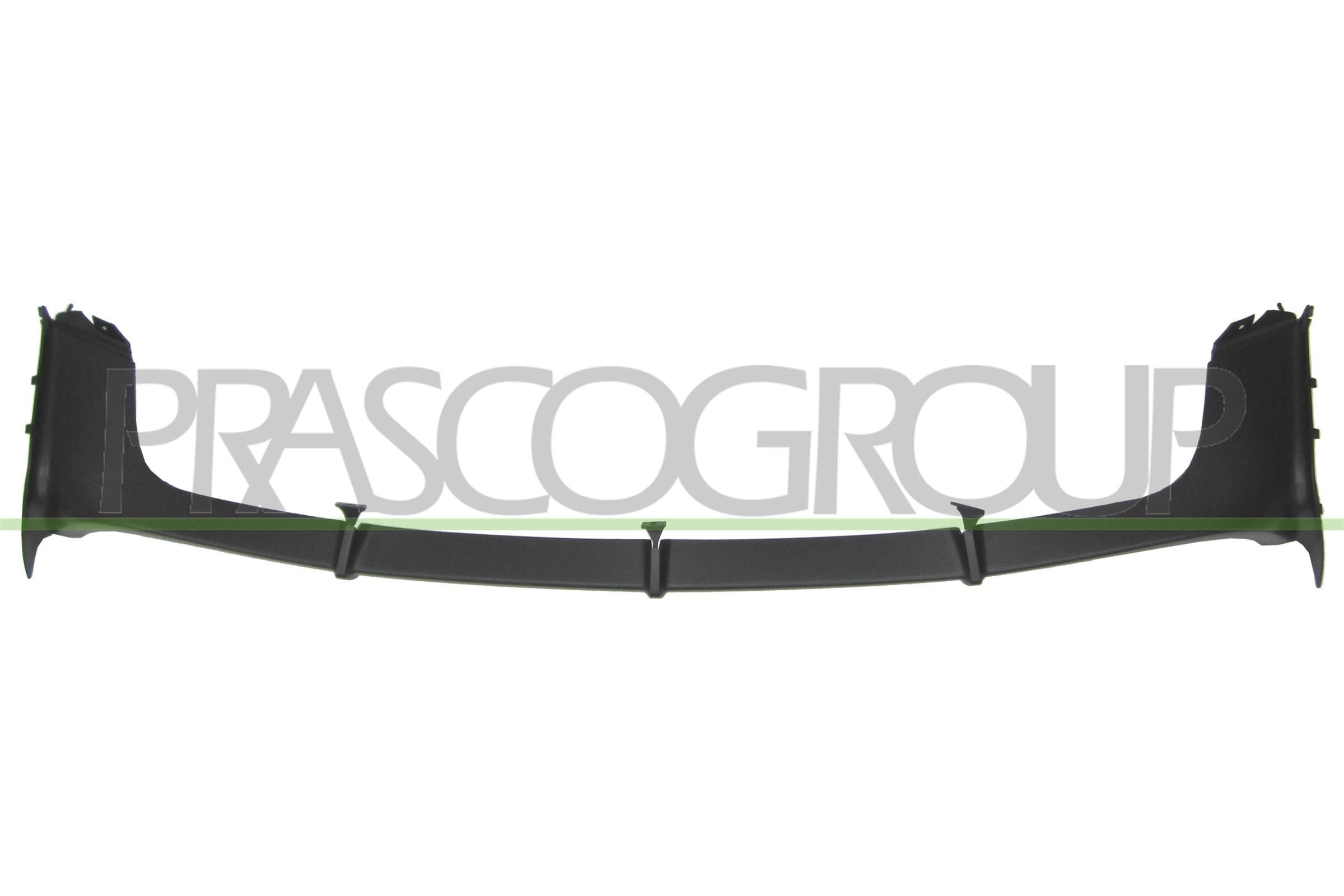 Diffusore posteriore PRASCO BM8201851 PRASCO BM8201851 Sottoparaurti BMW X5 2004