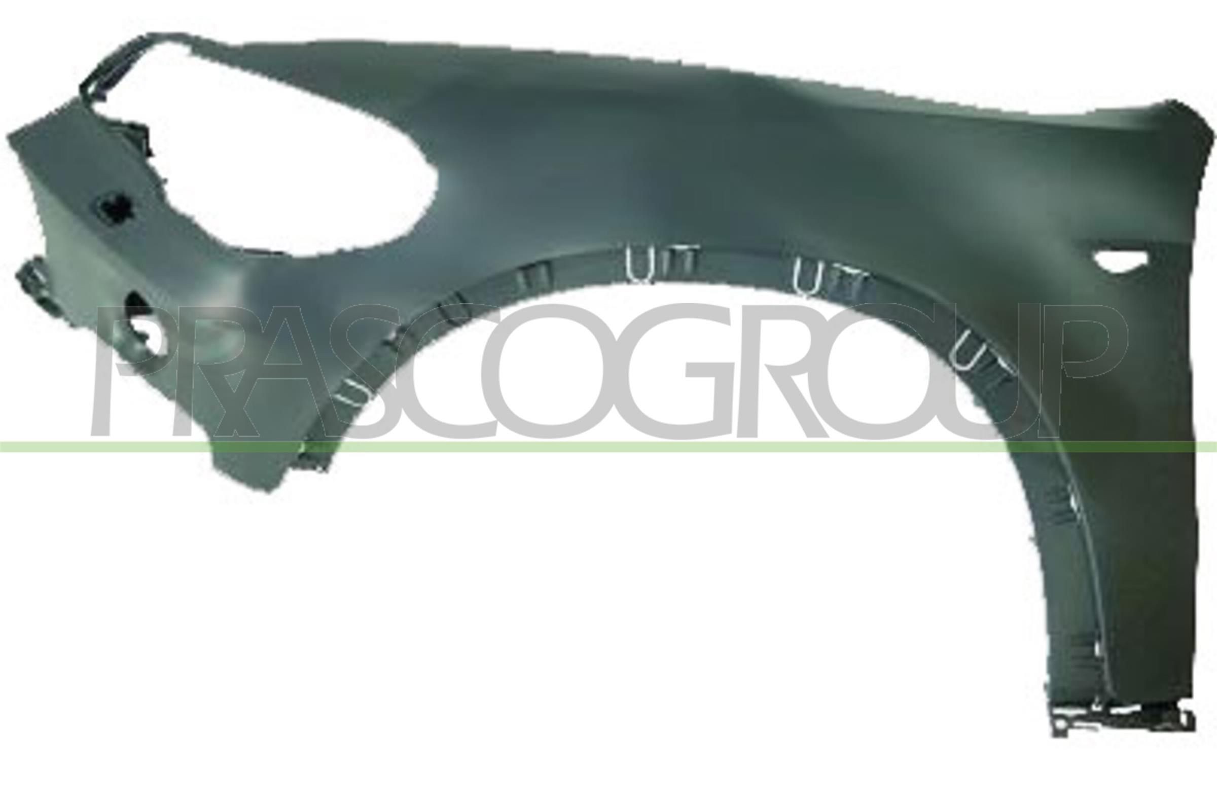 PRASCO Spatbord BM8223024 BM8223024 Voorspatbord en achterspatbord BMW X6 PRASCO